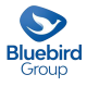 Blue Bird Group copy 4